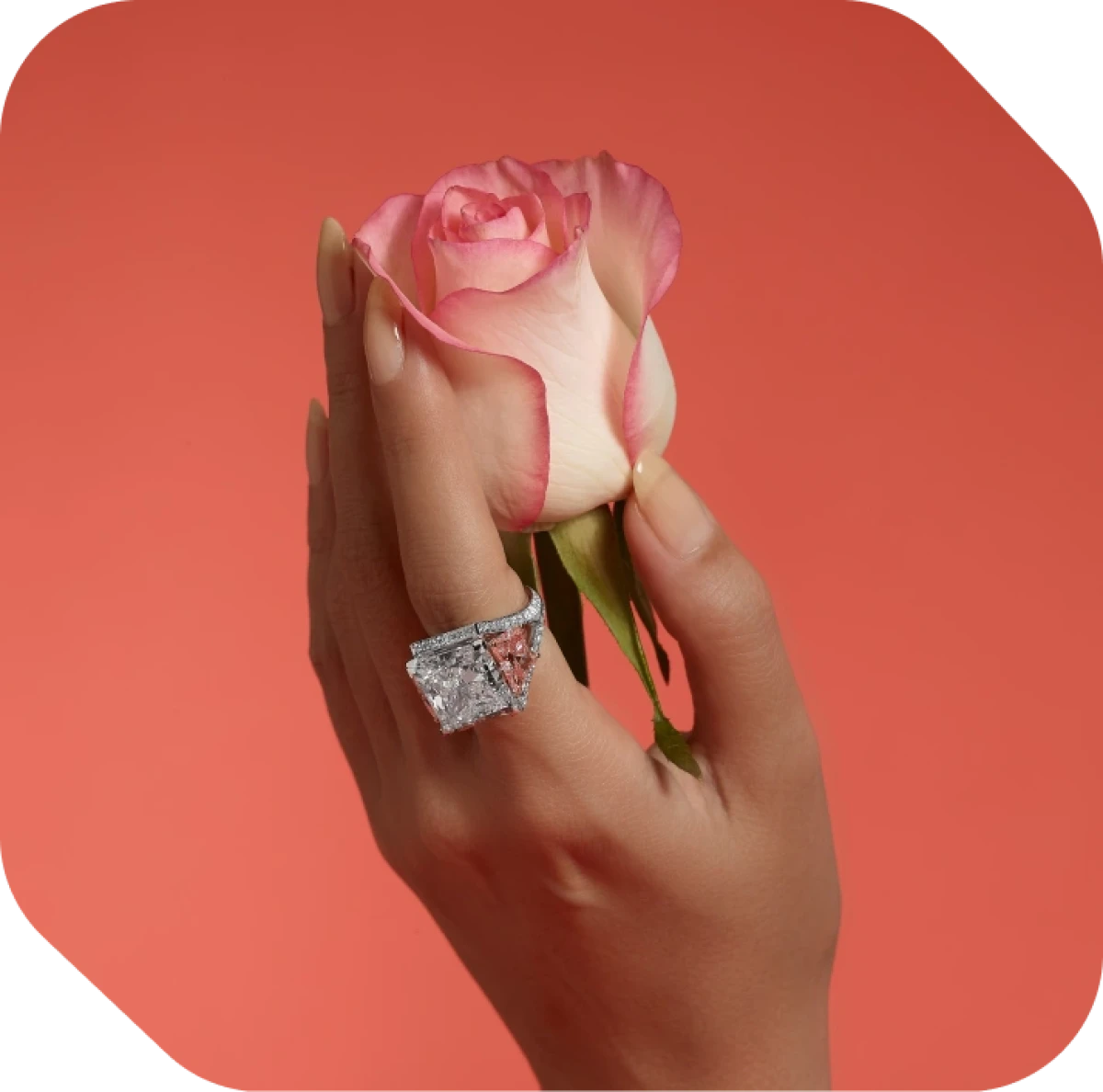 Grande Princesse aux Papillons Roses