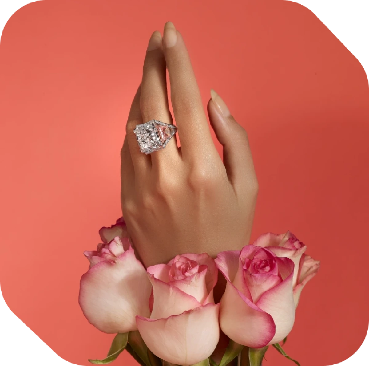 Grande Princesse aux Papillons Roses