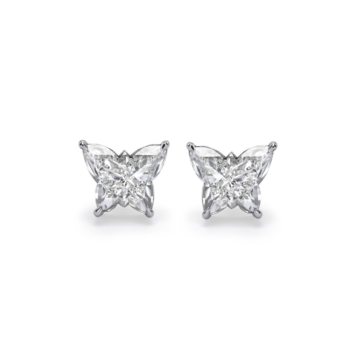 Papillons L